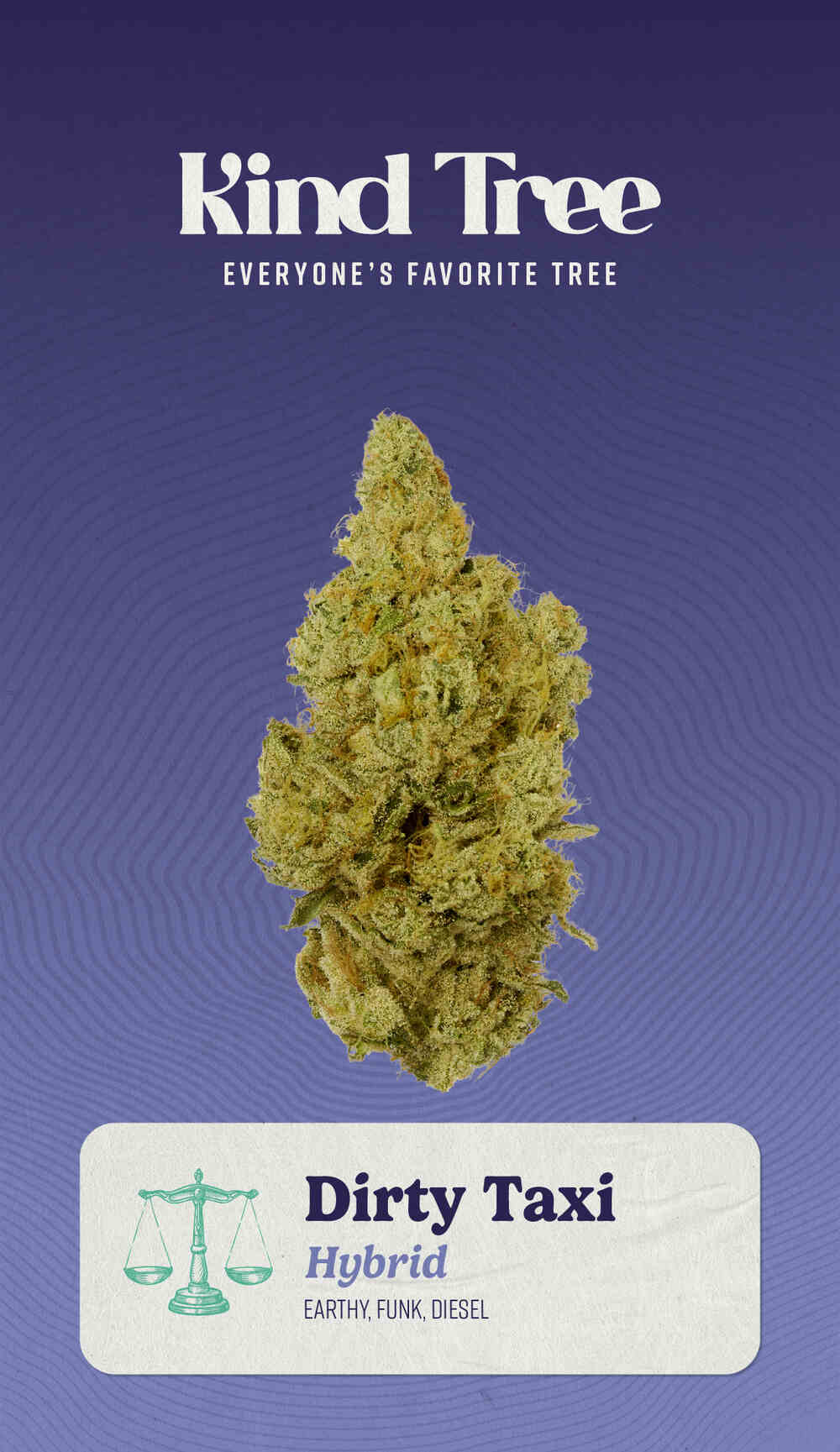 Buy Kind Tree Flower Dirty Taxi 3.5g image