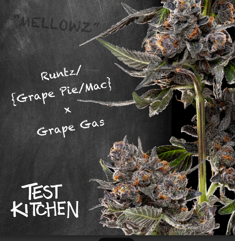 Buy Test Kitchen Flower Runtz (Grape Pie/MAC) x Grape Gas 7g image