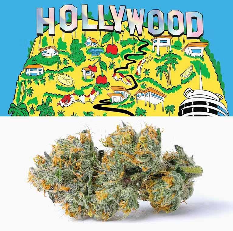 Buy Cookies Flower Hollywood 3.5 g image №0