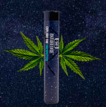 Buy Anthologie Pre-Roll Citradelic Sunset 1g l Single image