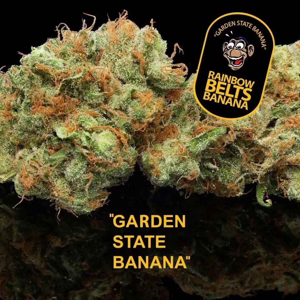 Garden State Banana Rainbow Belts x Banana Garden Greens