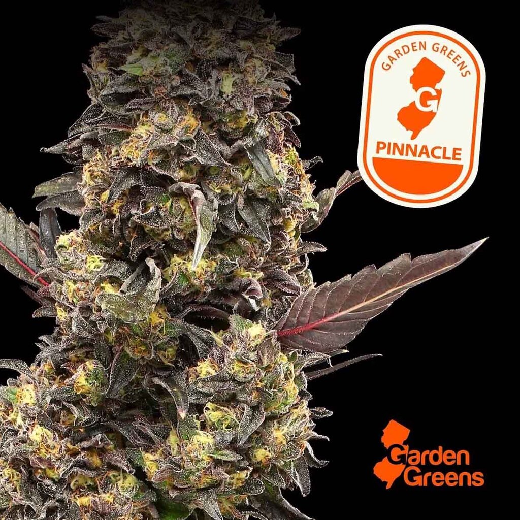 Buy Garden Greens Flower Pinnacle 14g image