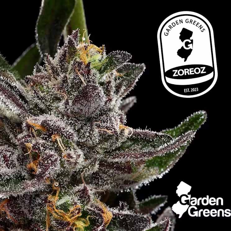 Buy Garden Greens Flower Zoreoz 3.5g image