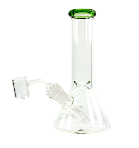 8" Beaker Base Water Rig