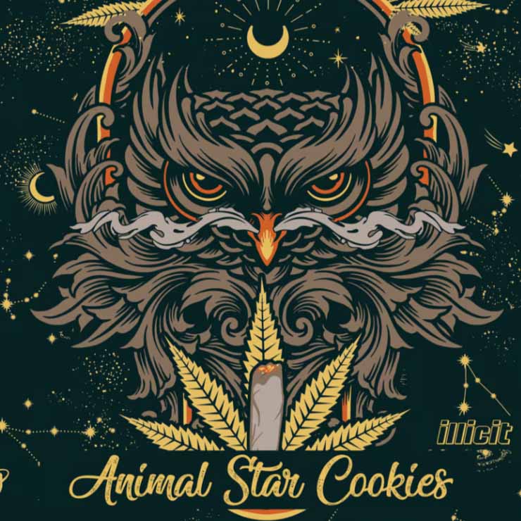 Buy Illicit Flower Animal Star Cookies 3.5g image №1