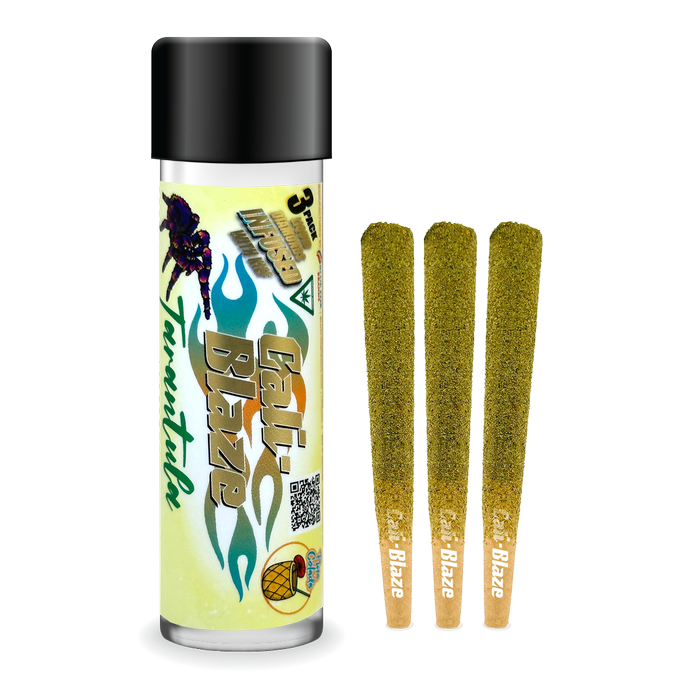 Buy Cali Blaze Infused Pre-Roll Pina Colada 3 Pack x 1.0 g image