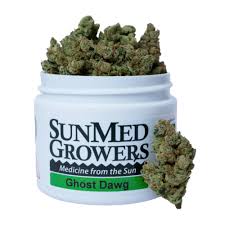 Ghost Dawg SunMed Growers