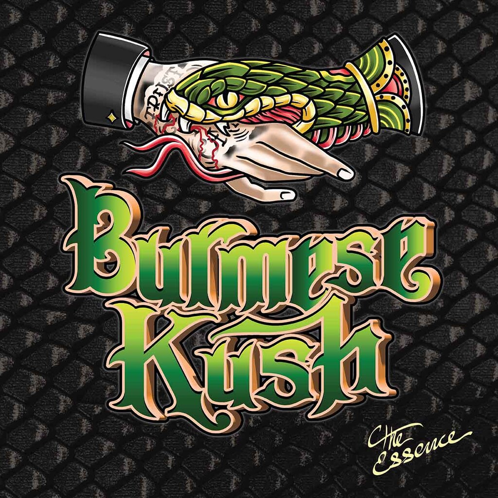 Burmese Kush (The) Essence