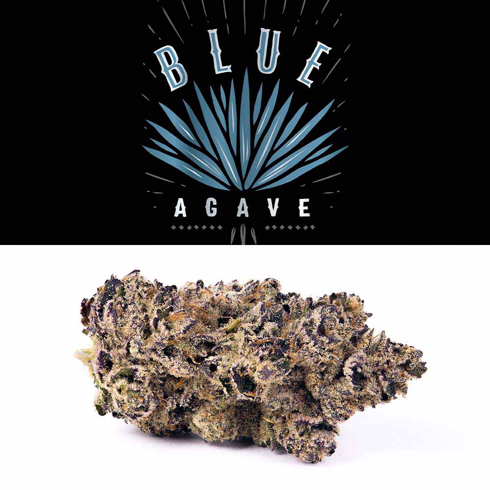 Blue Agave Cookies