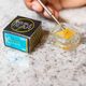 Lemon Sweet Skunk Double Bear Lemon Sweet Skunk Double Bear