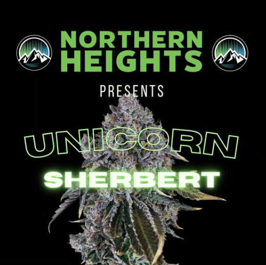 Unicorn Sherbert Northern Heights