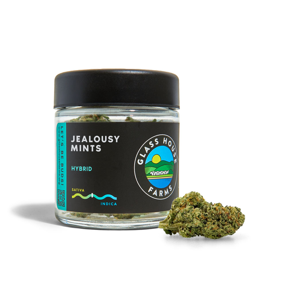 Jealousy Mints Glass House