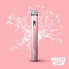 Strawberry Cream Breeze Canna