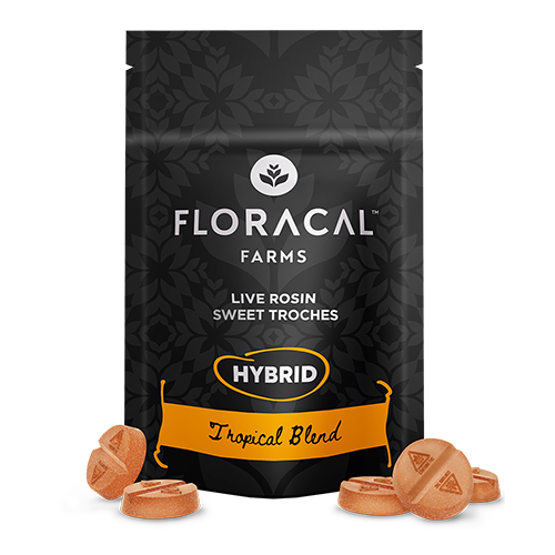 Tropical Blend - Live Rosin Sweet Floracal