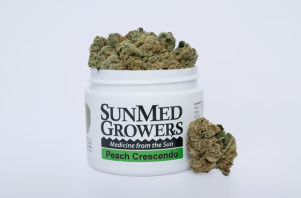 Peach Crescendo Sunmed