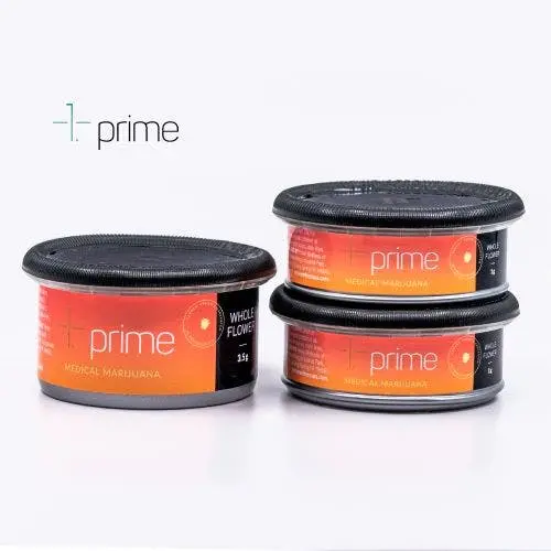 Prime Wellness — Sly Rabbit