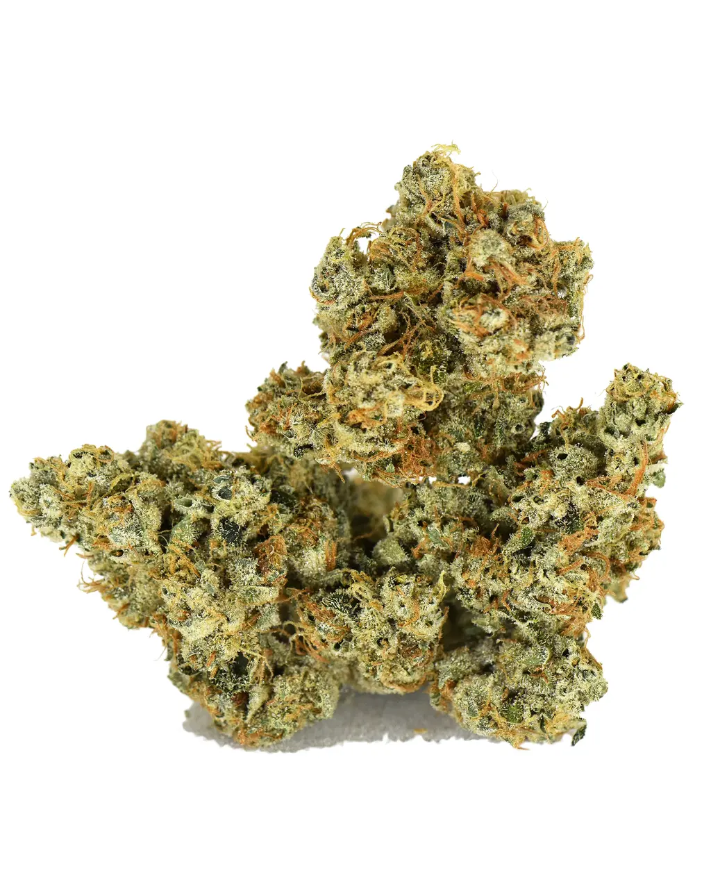 African Thai #15 Prime Wellness