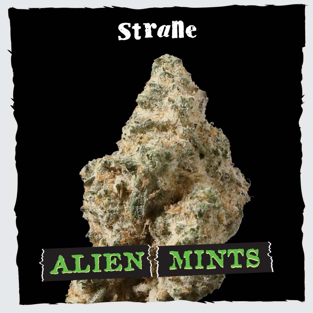 Alien Mints Strane