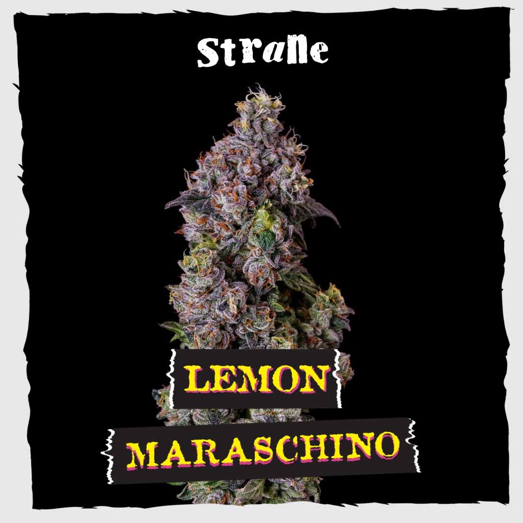 Lemon Maraschino Strane