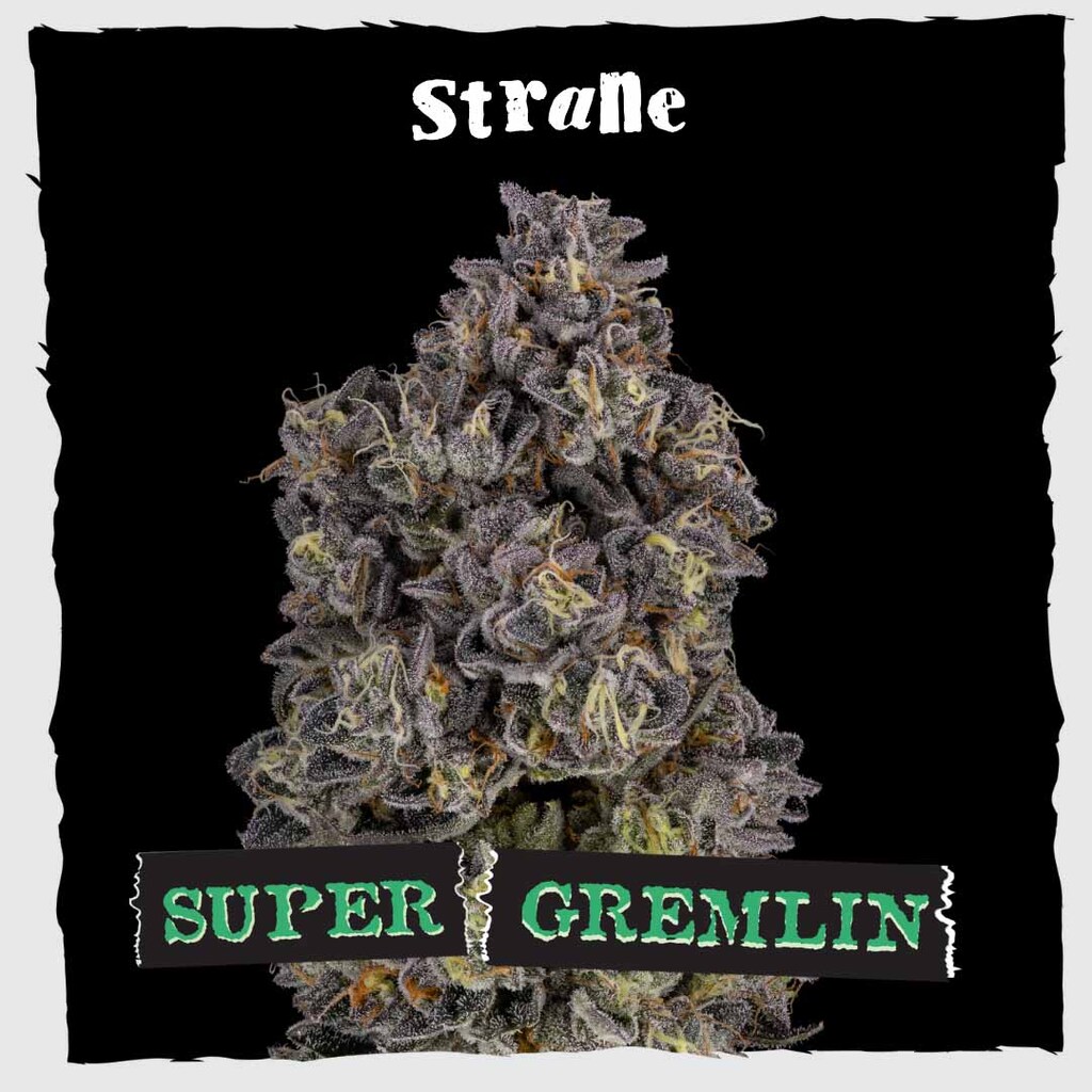 Reserve Super Gremlin Strane