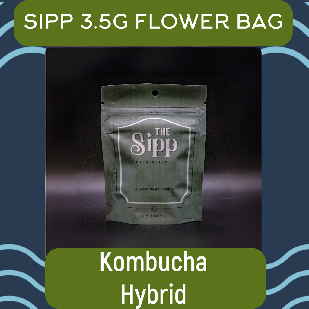 Kombucha  The Sipp