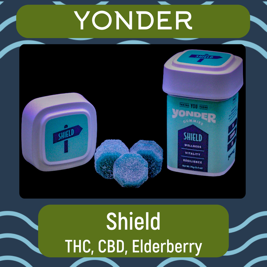 Buy Gummies | Shield | Blueberry 100mg [10 pcs] online - The Green