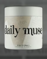 Chile Azul Daily Muse 