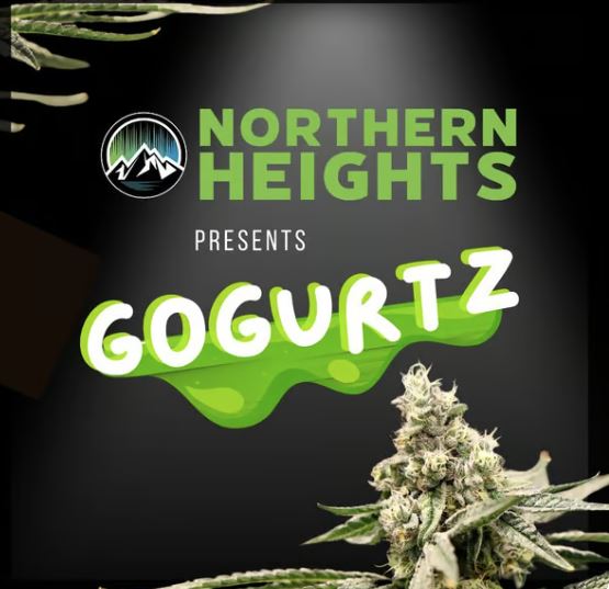 Gogurtz Northern Heights