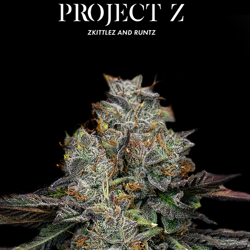 Project Z Society C