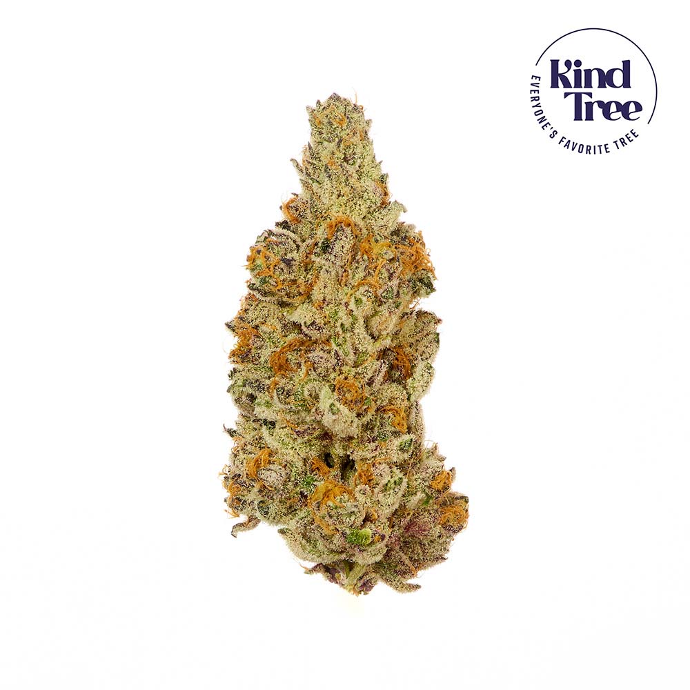 Dirty Kush Breath Kind Tree