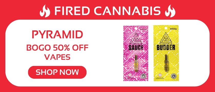 Cannabis Promo, Cannabis Sales, Cannabis Discounts, Cannabis on Sale, Pyramid: BOGO 50% OFF