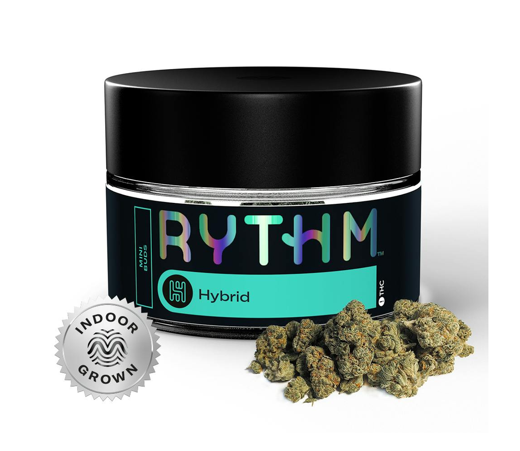 Jack Herer Rythm