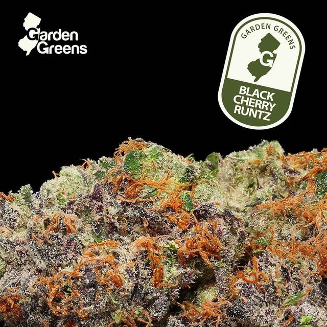 Black Cherry Runtz Garden Greens Black Cherry Runtz Garden Greens