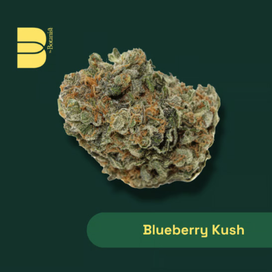 Blueberry Kush The Botanist