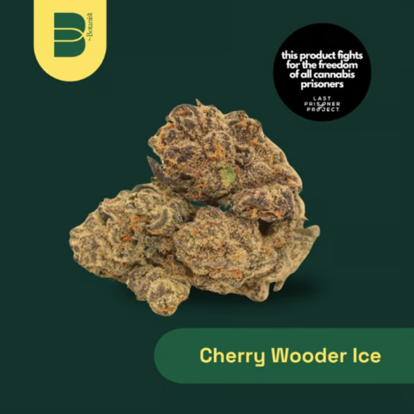 Cherry Wooder Ice The Botanist