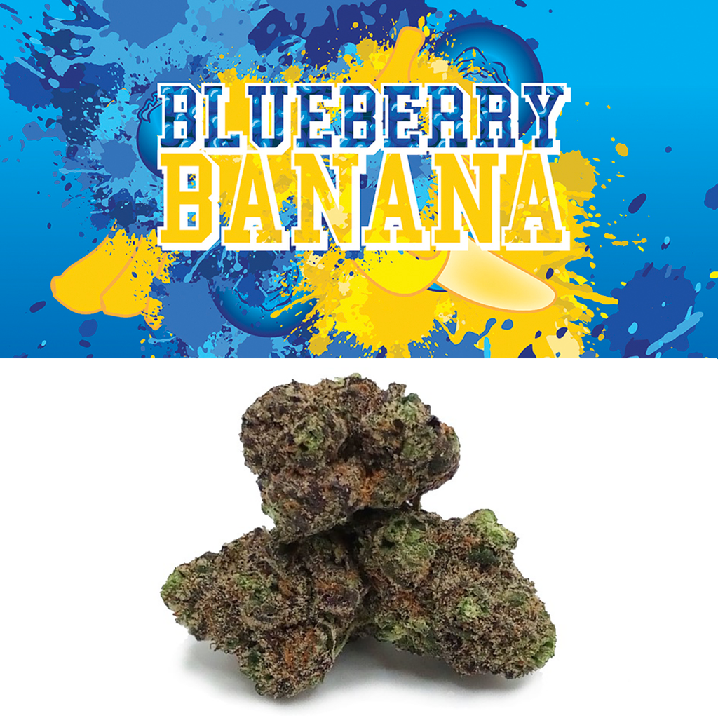 Blueberry Banana Cookies