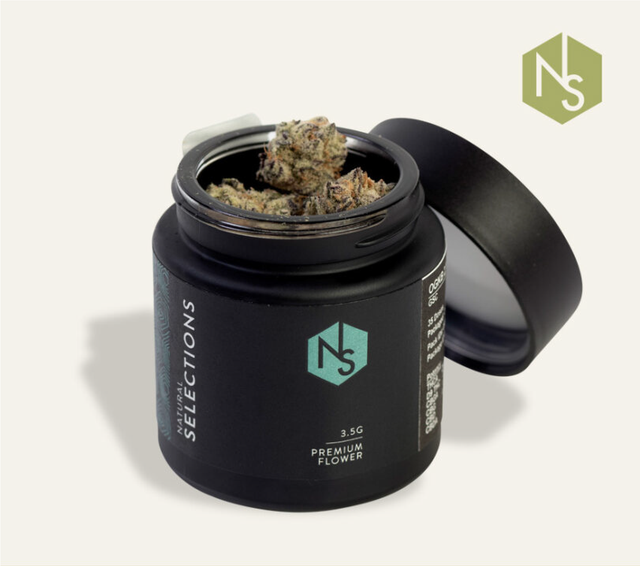 Sour Gak Natural Selections Sour Gak Natural Selections