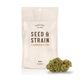 Strawnana Seed & Strain Strawnana Seed & Strain