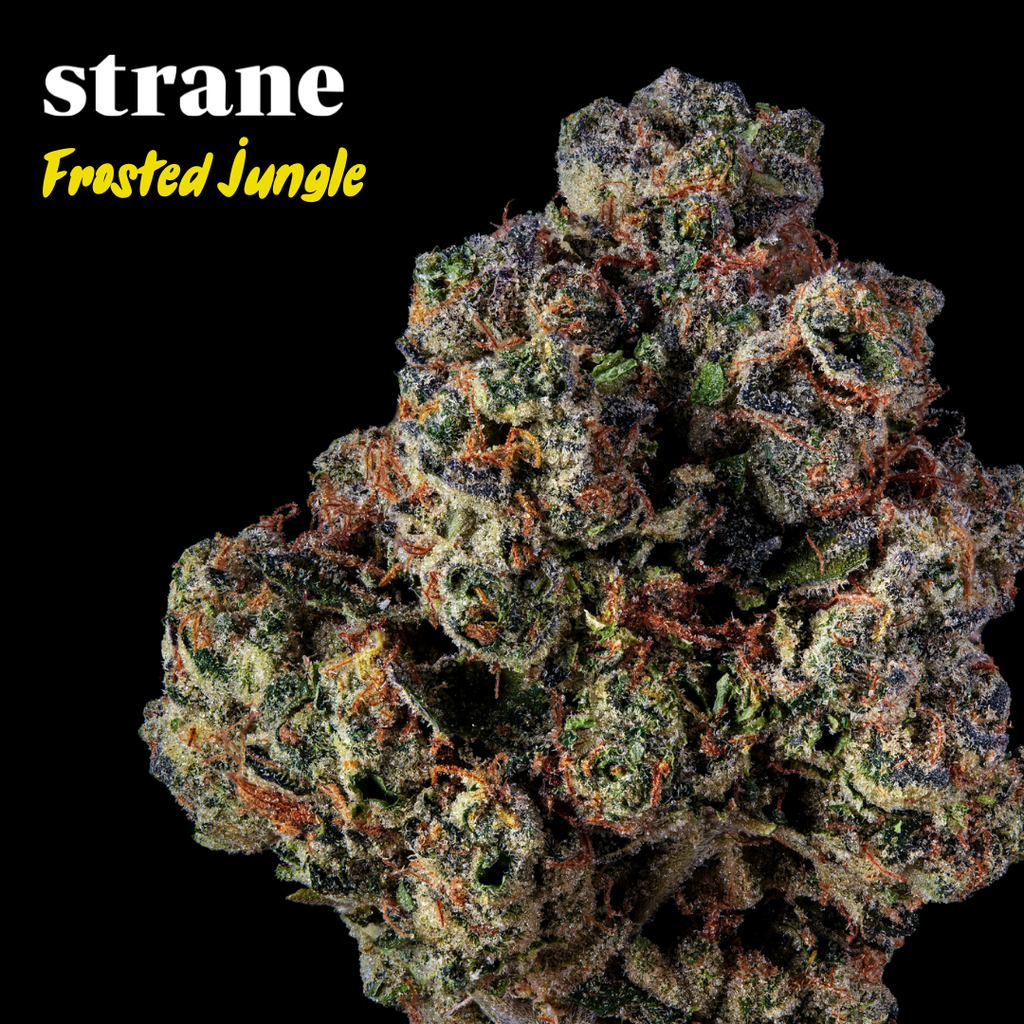 Frosted Jungle Strane