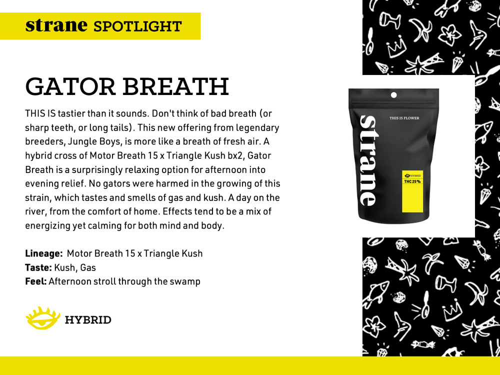 Gator Breath
