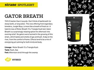 Gator Breath Strane