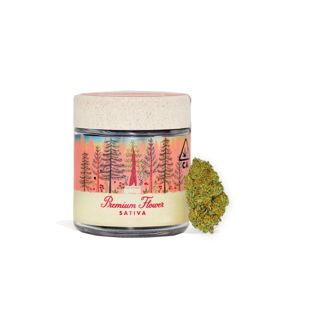 Banana Punch Premium Humboldt Farms