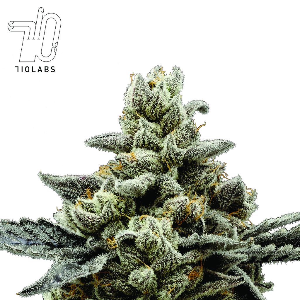 C. Chrome #27