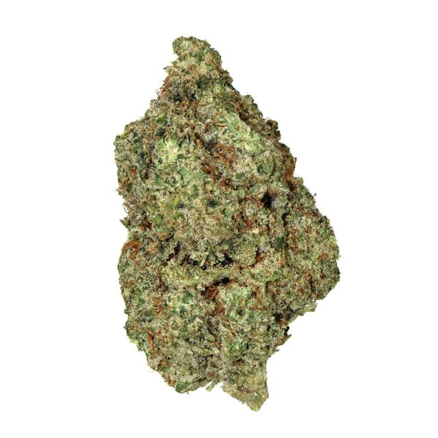 Grease Monkey Green Dragon (CO)