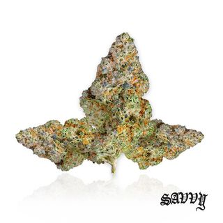 Pootie Tang x I95 Savvy