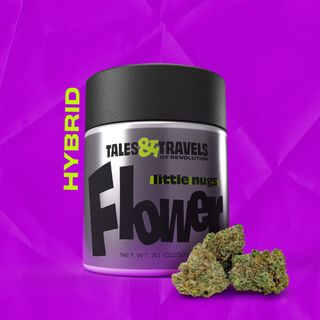 Runtz Tales & Travels