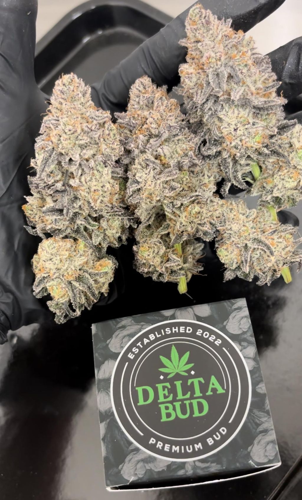 Buy Winter Sunset 7g online - The Green Standard Carthage