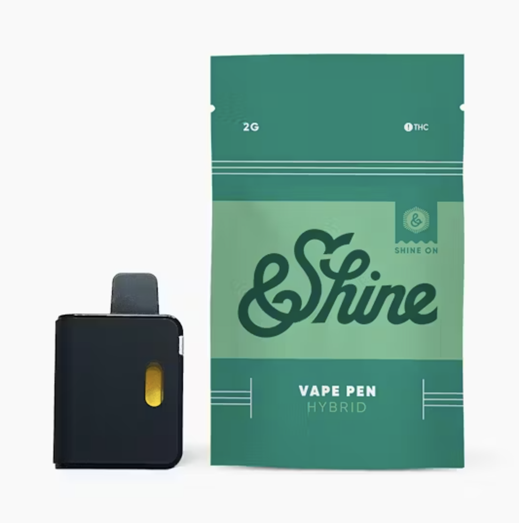 &Shine Blue Raspberry 2g Disposable