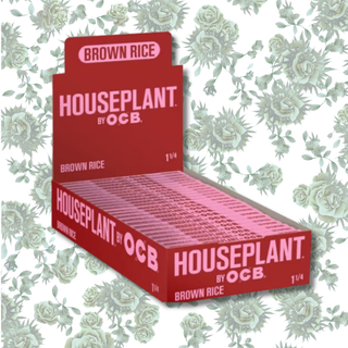 Cannabis Promo, Cannabis Sales, Cannabis Discounts, Cannabis on Sale, HousePlant BOGO! 1