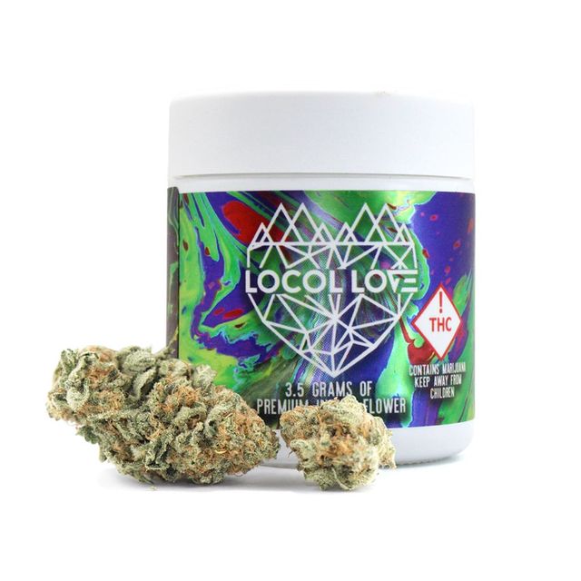 Double Lemon Gucci '89 Locol Love